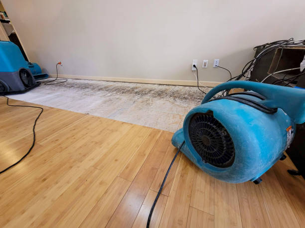Professional Water Removal technician working in Petersburg, OH